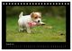 Thumbnail-10