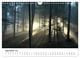 Thumbnail-14