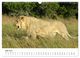 Thumbnail-11