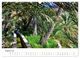 Thumbnail-13