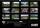 Thumbnail-13