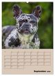 Thumbnail-14