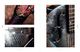 Thumbnail-12