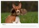 Thumbnail-10