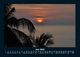 Thumbnail-10