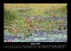 Thumbnail-12