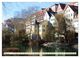 Thumbnail-8