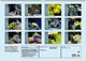 Thumbnail-13
