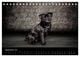 Thumbnail-14