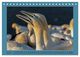 Thumbnail-11