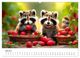 Thumbnail-11