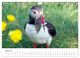 Thumbnail-9