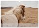Thumbnail-12