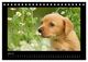Thumbnail-12