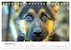 Thumbnail-11