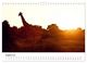 Thumbnail-13