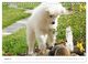Thumbnail-10