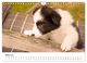Thumbnail-9
