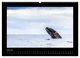 Thumbnail-11