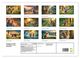 Thumbnail-4