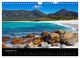 Thumbnail-13