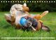 Thumbnail-10