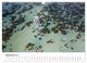 Thumbnail-14