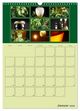 Thumbnail-13