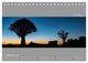 Thumbnail-11