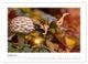 Thumbnail-12