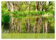 Thumbnail-11
