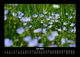 Thumbnail-11