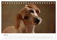 Thumbnail-12