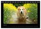 Thumbnail-9