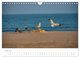 Thumbnail-10