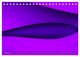 Thumbnail-13