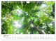 Thumbnail-11