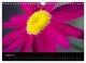 Thumbnail-13