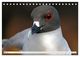 Thumbnail-10