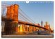 Thumbnail-12