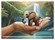 Thumbnail-11