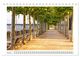 Thumbnail-11