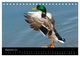 Thumbnail-11