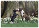 Thumbnail-9