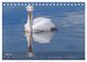 Thumbnail-10