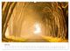 Thumbnail-9
