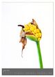 Thumbnail-9