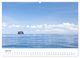 Thumbnail-12