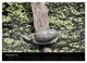 Thumbnail-12