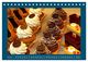 Thumbnail-11